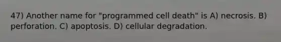 47) Another name for "programmed cell death" is A) necrosis. B) perforation. C) apoptosis. D) cellular degradation.