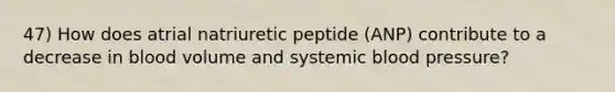 47) How does atrial natriuretic peptide (ANP) contribute to a decrease in blood volume and systemic <a href='https://www.questionai.com/knowledge/kD0HacyPBr-blood-pressure' class='anchor-knowledge'>blood pressure</a>?