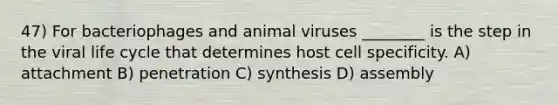 47) For bacteriophages and animal viruses ________ is the step in the viral life cycle that determines host cell specificity. A) attachment B) penetration C) synthesis D) assembly