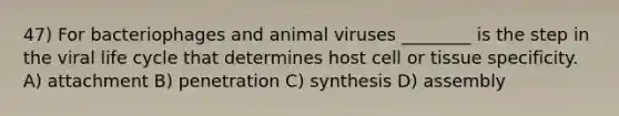 47) For bacteriophages and animal viruses ________ is the step in the viral life cycle that determines host cell or tissue specificity. A) attachment B) penetration C) synthesis D) assembly