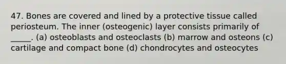 47. Bones are covered and lined by a protective tissue called periosteum. The inner (osteogenic) layer consists primarily of _____. (a) osteoblasts and osteoclasts (b) marrow and osteons (c) cartilage and compact bone (d) chondrocytes and osteocytes