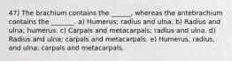 47) The brachium contains the ______, whereas the antebrachium contains the _______. a) Humerus; radius and ulna. b) Radius and ulna; humerus. c) Carpals and metacarpals; radius and ulna. d) Radius and ulna; carpals and metacarpals. e) Humerus, radius, and ulna; carpals and metacarpals.