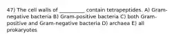 47) The cell walls of __________ contain tetrapeptides. A) Gram-negative bacteria B) Gram-positive bacteria C) both Gram-positive and Gram-negative bacteria D) archaea E) all prokaryotes