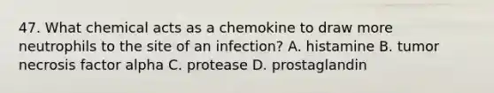 47. What chemical acts as a chemokine to draw more neutrophils to the site of an infection? A. histamine B. tumor necrosis factor alpha C. protease D. prostaglandin