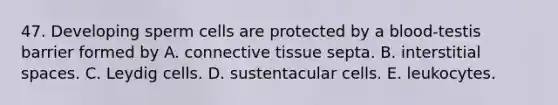 47. Developing sperm cells are protected by a blood-testis barrier formed by A. <a href='https://www.questionai.com/knowledge/kYDr0DHyc8-connective-tissue' class='anchor-knowledge'>connective tissue</a> septa. B. interstitial spaces. C. Leydig cells. D. sustentacular cells. E. leukocytes.