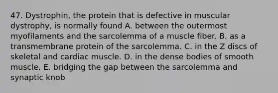 47. Dystrophin, the protein that is defective in muscular dystrophy, is normally found A. between the outermost myofilaments and the sarcolemma of a muscle fiber. B. as a transmembrane protein of the sarcolemma. C. in the Z discs of skeletal and cardiac muscle. D. in the dense bodies of smooth muscle. E. bridging the gap between the sarcolemma and synaptic knob