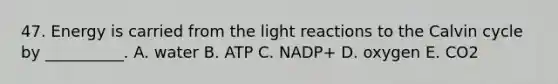 47. Energy is carried from the <a href='https://www.questionai.com/knowledge/kSUoWrrvoC-light-reactions' class='anchor-knowledge'>light reactions</a> to the Calvin cycle by __________. A. water B. ATP C. NADP+ D. oxygen E. CO2