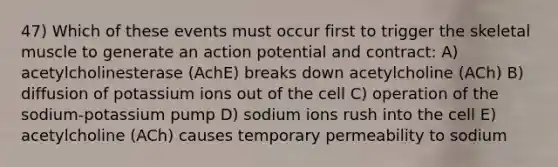 47) Which of these events must occur first to trigger the skeletal muscle to generate an action potential and contract: A) acetylcholinesterase (AchE) breaks down acetylcholine (ACh) B) diffusion of potassium ions out of the cell C) operation of the sodium-potassium pump D) sodium ions rush into the cell E) acetylcholine (ACh) causes temporary permeability to sodium