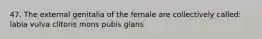 47. The external genitalia of the female are collectively called: labia vulva clitoris mons pubis glans