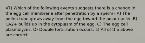 47) Which of the following events suggests there is a change in the egg cell membrane after penetration by a sperm? A) The pollen tube grows away from the egg toward the polar nuclei. B) CA2+ builds up in the cytoplasm of the egg. C) The egg cell plasmolyzes. D) Double fertilization occurs. E) All of the above are correct.