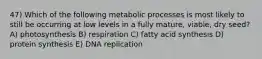 47) Which of the following metabolic processes is most likely to still be occurring at low levels in a fully mature, viable, dry seed? A) photosynthesis B) respiration C) fatty acid synthesis D) protein synthesis E) DNA replication