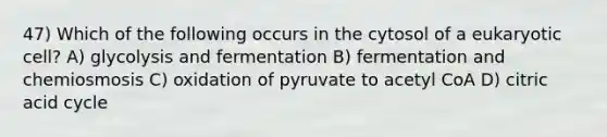 47) Which of the following occurs in the cytosol of a eukaryotic cell? A) glycolysis and fermentation B) fermentation and chemiosmosis C) oxidation of pyruvate to acetyl CoA D) citric acid cycle