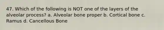 47. Which of the following is NOT one of the layers of the alveolar process? a. Alveolar bone proper b. Cortical bone c. Ramus d. Cancellous Bone