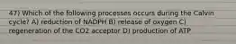 47) Which of the following processes occurs during the Calvin cycle? A) reduction of NADPH B) release of oxygen C) regeneration of the CO2 acceptor D) production of ATP