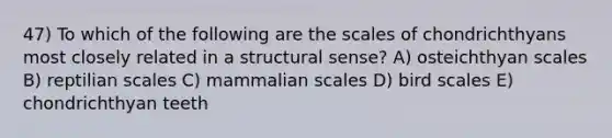 47) To which of the following are the scales of chondrichthyans most closely related in a structural sense? A) osteichthyan scales B) reptilian scales C) mammalian scales D) bird scales E) chondrichthyan teeth