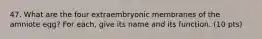 47. What are the four extraembryonic membranes of the amniote egg? For each, give its name and its function. (10 pts)