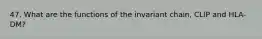 47. What are the functions of the invariant chain, CLIP and HLA-DM?