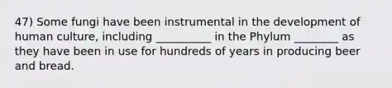 47) Some fungi have been instrumental in the development of human culture, including __________ in the Phylum ________ as they have been in use for hundreds of years in producing beer and bread.