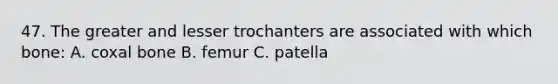 47. The greater and lesser trochanters are associated with which bone: A. coxal bone B. femur C. patella