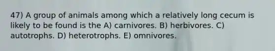 47) A group of animals among which a relatively long cecum is likely to be found is the A) carnivores. B) herbivores. C) autotrophs. D) heterotrophs. E) omnivores.