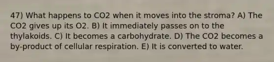 47) What happens to CO2 when it moves into the stroma? A) The CO2 gives up its O2. B) It immediately passes on to the thylakoids. C) It becomes a carbohydrate. D) The CO2 becomes a by-product of <a href='https://www.questionai.com/knowledge/k1IqNYBAJw-cellular-respiration' class='anchor-knowledge'>cellular respiration</a>. E) It is converted to water.