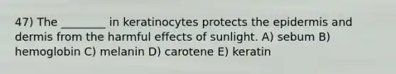 47) The ________ in keratinocytes protects <a href='https://www.questionai.com/knowledge/kBFgQMpq6s-the-epidermis' class='anchor-knowledge'>the epidermis</a> and dermis from the harmful effects of sunlight. A) sebum B) hemoglobin C) melanin D) carotene E) keratin