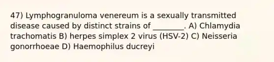 47) Lymphogranuloma venereum is a sexually transmitted disease caused by distinct strains of ________. A) Chlamydia trachomatis B) herpes simplex 2 virus (HSV-2) C) Neisseria gonorrhoeae D) Haemophilus ducreyi