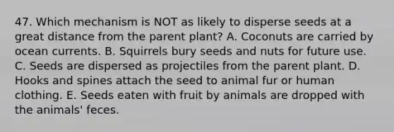 47. Which mechanism is NOT as likely to disperse seeds at a great distance from the parent plant? A. Coconuts are carried by ocean currents. B. Squirrels bury seeds and nuts for future use. C. Seeds are dispersed as projectiles from the parent plant. D. Hooks and spines attach the seed to animal fur or human clothing. E. Seeds eaten with fruit by animals are dropped with the animals' feces.