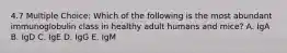 4.7 Multiple Choice: Which of the following is the most abundant immunoglobulin class in healthy adult humans and mice? A. IgA B. IgD C. IgE D. IgG E. IgM