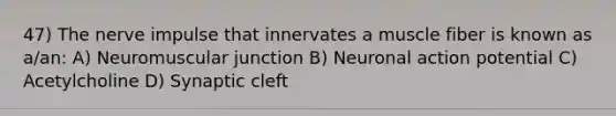 47) The nerve impulse that innervates a muscle fiber is known as a/an: A) Neuromuscular junction B) Neuronal action potential C) Acetylcholine D) Synaptic cleft