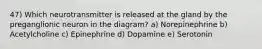 47) Which neurotransmitter is released at the gland by the preganglionic neuron in the diagram? a) Norepinephrine b) Acetylcholine c) Epinephrine d) Dopamine e) Serotonin