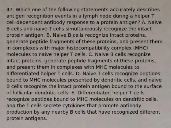 47. Which one of the following statements accurately describes antigen recognition events in a lymph node during a helper T cell-dependent antibody response to a protein antigen? A. Naive B cells and naive T cells simultaneously recognize the intact protein antigen. B. Naive B cells recognize intact proteins, generate peptide fragments of these proteins, and present them in complexes with major histocompatibility complex (MHC) molecules to naive helper T cells. C. Naive B cells recognize intact proteins, generate peptide fragments of these proteins, and present them in complexes with MHC molecules to differentiated helper T cells. D. Naive T cells recognize peptides bound to MHC molecules presented by dendritic cells, and naive B cells recognize the intact protein antigen bound to the surface of follicular dendritic cells. E. Differentiated helper T cells recognize peptides bound to MHC molecules on dendritic cells, and the T cells secrete cytokines that promote antibody production by any nearby B cells that have recognized different protein antigens.