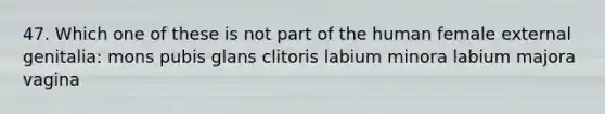 47. Which one of these is not part of the human female external genitalia: mons pubis glans clitoris labium minora labium majora vagina