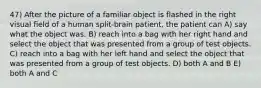 47) After the picture of a familiar object is flashed in the right visual field of a human split-brain patient, the patient can A) say what the object was. B) reach into a bag with her right hand and select the object that was presented from a group of test objects. C) reach into a bag with her left hand and select the object that was presented from a group of test objects. D) both A and B E) both A and C