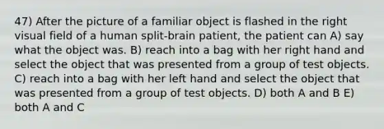 47) After the picture of a familiar object is flashed in the right visual field of a human split-brain patient, the patient can A) say what the object was. B) reach into a bag with her right hand and select the object that was presented from a group of test objects. C) reach into a bag with her left hand and select the object that was presented from a group of test objects. D) both A and B E) both A and C