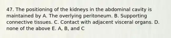 47. The positioning of the kidneys in the abdominal cavity is maintained by A. The overlying peritoneum. B. Supporting connective tissues. C. Contact with adjacent visceral organs. D. none of the above E. A, B, and C