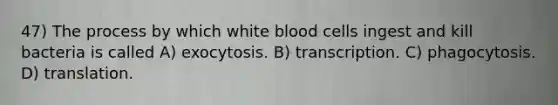 47) The process by which white blood cells ingest and kill bacteria is called A) exocytosis. B) transcription. C) phagocytosis. D) translation.