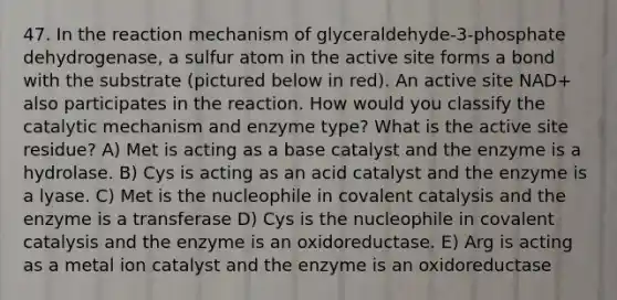 47. In the reaction mechanism of glyceraldehyde-3-phosphate dehydrogenase, a sulfur atom in the active site forms a bond with the substrate (pictured below in red). An active site NAD+ also participates in the reaction. How would you classify the catalytic mechanism and enzyme type? What is the active site residue? A) Met is acting as a base catalyst and the enzyme is a hydrolase. B) Cys is acting as an acid catalyst and the enzyme is a lyase. C) Met is the nucleophile in covalent catalysis and the enzyme is a transferase D) Cys is the nucleophile in covalent catalysis and the enzyme is an oxidoreductase. E) Arg is acting as a metal ion catalyst and the enzyme is an oxidoreductase