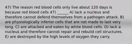 47) The reason red blood cells only live about 120 days is because red blood cells 47) ______ A) lack a nucleus and therefore cannot defend themselves from a pathogen attack. B) are physiologically inferior cells that are not made to last very long. C) are attacked and eaten by white blood cells. D) lack a nucleus and therefore cannot repair and rebuild cell structures. E) are destroyed by the high levels of oxygen they carry.