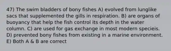 47) The swim bladders of bony fishes A) evolved from lunglike sacs that supplemented the gills in respiration. B) are organs of buoyancy that help the fish control its depth in the water column. C) are used for gas exchange in most modern specieis. D) prevented bony fishes from existing in a marine environment. E) Both A & B are correct