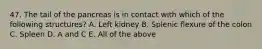 47. The tail of the pancreas is in contact with which of the following structures? A. Left kidney B. Splenic flexure of the colon C. Spleen D. A and C E. All of the above