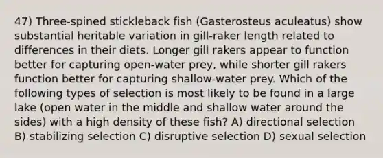 47) Three-spined stickleback fish (Gasterosteus aculeatus) show substantial heritable variation in gill-raker length related to differences in their diets. Longer gill rakers appear to function better for capturing open-water prey, while shorter gill rakers function better for capturing shallow-water prey. Which of the following types of selection is most likely to be found in a large lake (open water in the middle and shallow water around the sides) with a high density of these fish? A) directional selection B) stabilizing selection C) disruptive selection D) sexual selection