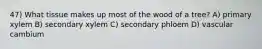 47) What tissue makes up most of the wood of a tree? A) primary xylem B) secondary xylem C) secondary phloem D) vascular cambium