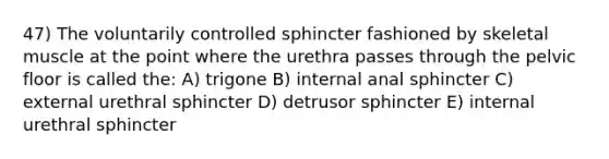 47) The voluntarily controlled sphincter fashioned by skeletal muscle at the point where the urethra passes through the pelvic floor is called the: A) trigone B) internal anal sphincter C) external urethral sphincter D) detrusor sphincter E) internal urethral sphincter