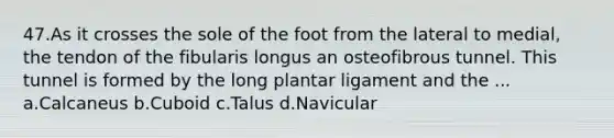 47.As it crosses the sole of the foot from the lateral to medial, the tendon of the fibularis longus an osteofibrous tunnel. This tunnel is formed by the long plantar ligament and the ... a.Calcaneus b.Cuboid c.Talus d.Navicular