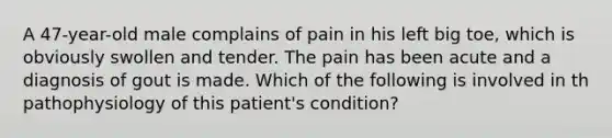 A 47-year-old male complains of pain in his left big toe, which is obviously swollen and tender. The pain has been acute and a diagnosis of gout is made. Which of the following is involved in th pathophysiology of this patient's condition?