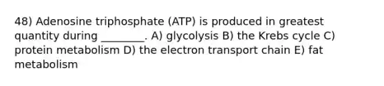 48) Adenosine triphosphate (ATP) is produced in greatest quantity during ________. A) glycolysis B) the Krebs cycle C) protein metabolism D) the electron transport chain E) fat metabolism