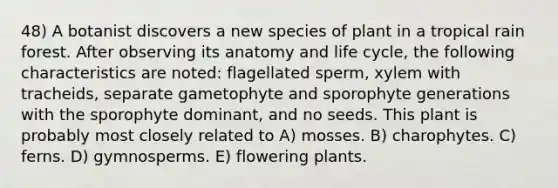 48) A botanist discovers a new species of plant in a tropical rain forest. After observing its anatomy and life cycle, the following characteristics are noted: flagellated sperm, xylem with tracheids, separate gametophyte and sporophyte generations with the sporophyte dominant, and no seeds. This plant is probably most closely related to A) mosses. B) charophytes. C) ferns. D) gymnosperms. E) flowering plants.