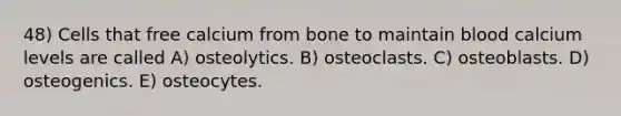 48) Cells that free calcium from bone to maintain blood calcium levels are called A) osteolytics. B) osteoclasts. C) osteoblasts. D) osteogenics. E) osteocytes.