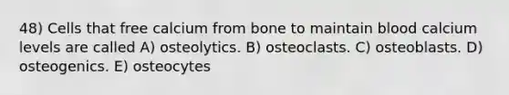 48) Cells that free calcium from bone to maintain blood calcium levels are called A) osteolytics. B) osteoclasts. C) osteoblasts. D) osteogenics. E) osteocytes